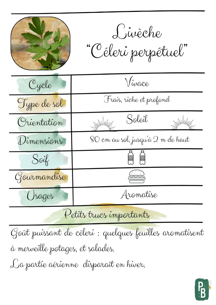 Livêche.webp